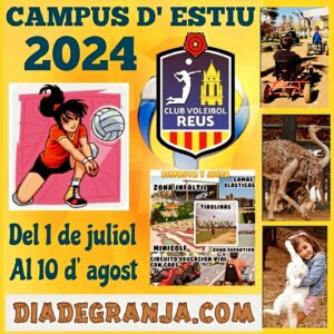 Lee más sobre el artículo Ya tenéis aquí el primero de nuestros Campus de verano, en breve os presentaremo…